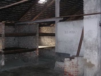Auschwitz_36